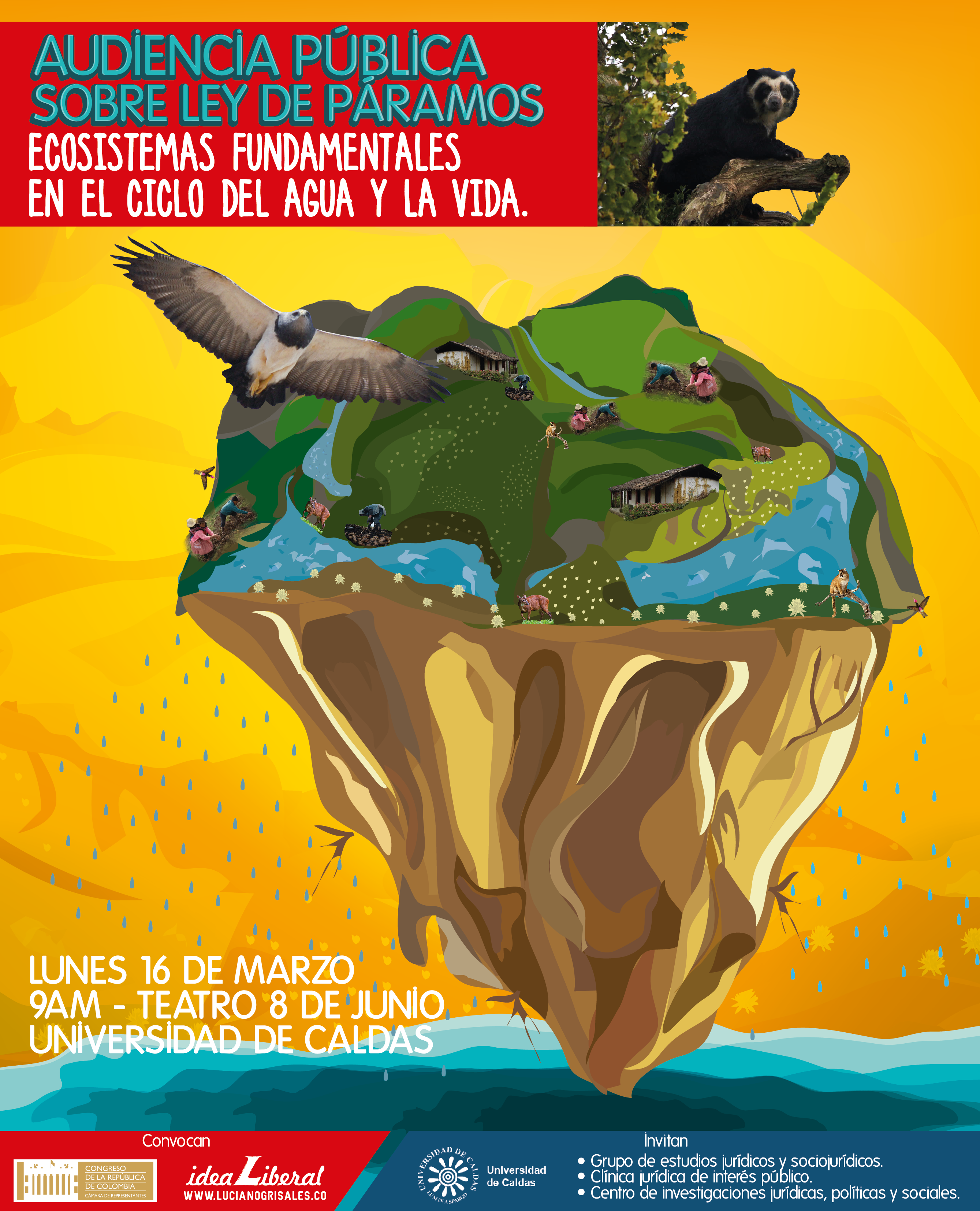 AUDIENCIA PÚ