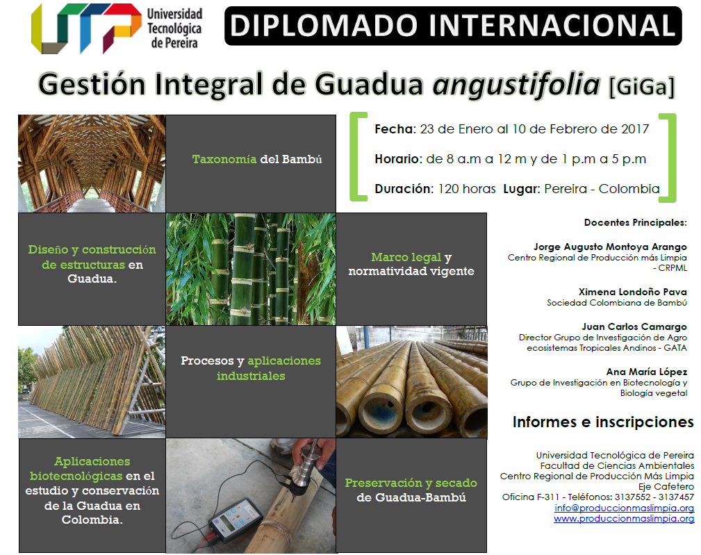 Diplomado Int