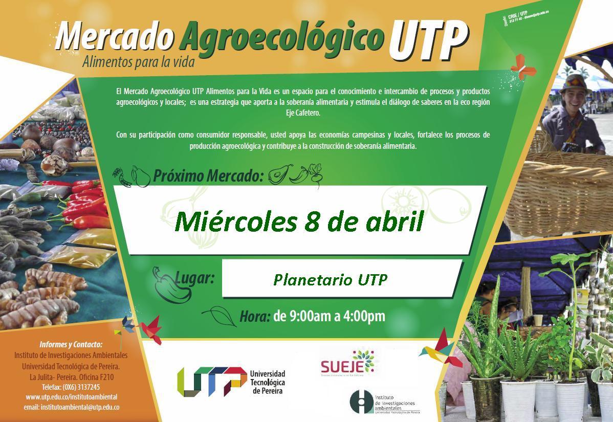 MERCADO AGRO-
