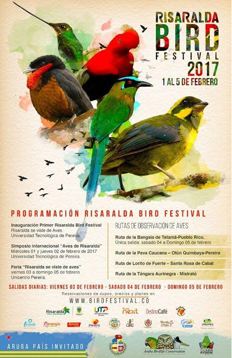 Risaralda Bir