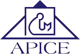 Becas APICE y