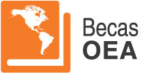 Becas OEA 201