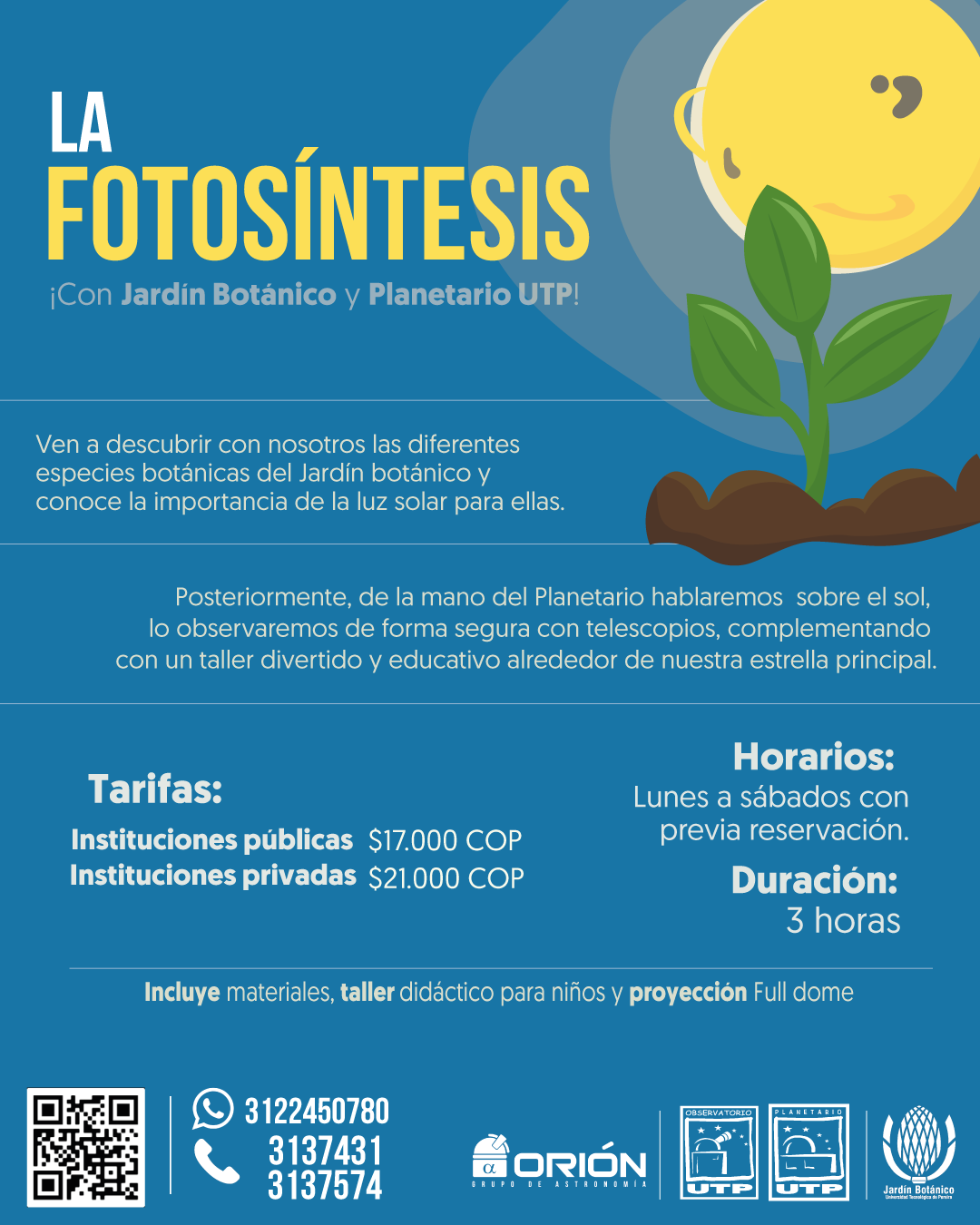 La fotosíntesis POAUTP